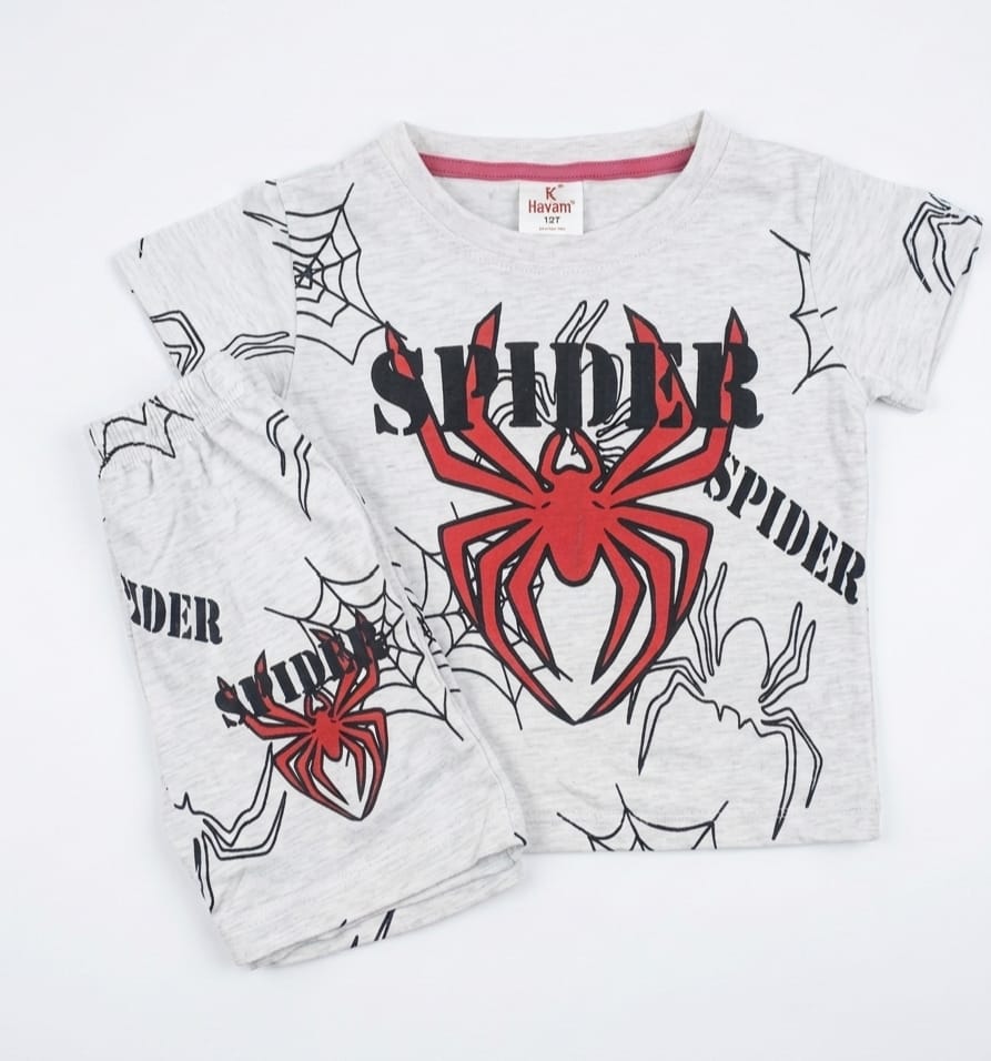 Boys Spider Graphic T-Shirt & Shorts Set